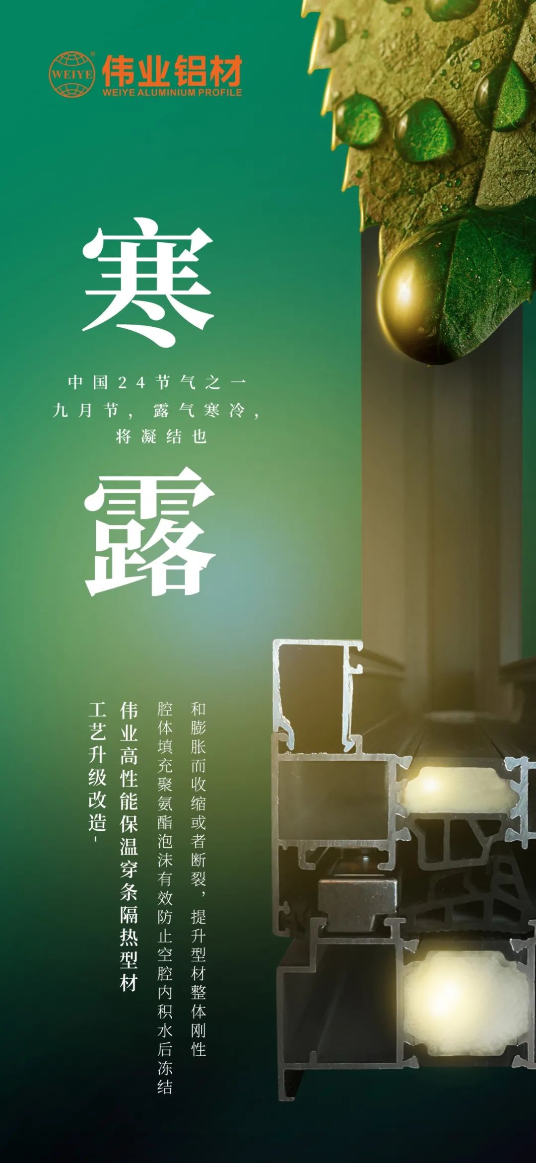 #寒露 九月节，露气寒冷，将凝结也 时光入深秋，岁月便深情